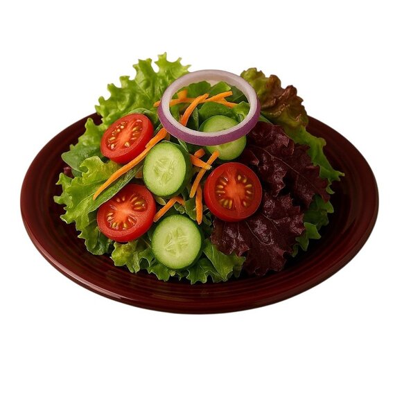 Fiestaware Fiesta CERAMIC Salad Plate Dish CONTAINER Claret 7.25 INCH - Picture 1 of 9